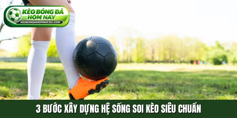 3 bước xây dựng hệ sống soi kèo siêu chuẩn