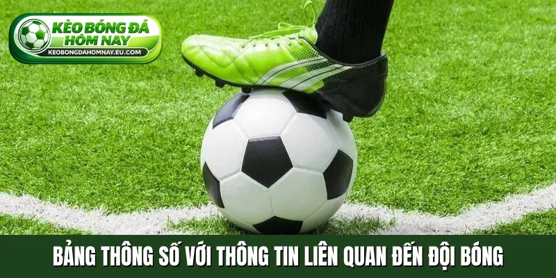 Bảng thông số với thông tin liên quan đến đội bóng