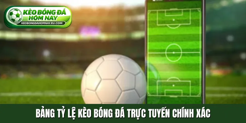 Bảng tỷ lệ kèo bóng đá trực tuyến chính xác
