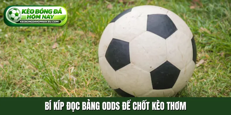 Bí kíp đọc bảng odds để chốt kèo thơm