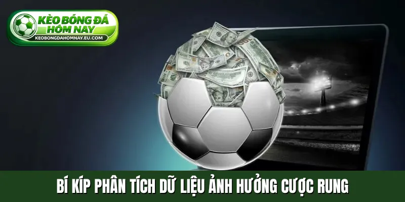 Bí kíp phân tích dữ liệu ảnh hưởng cược rung