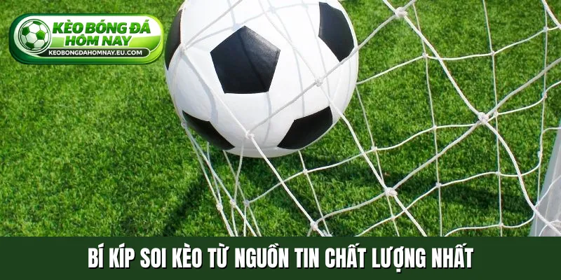 Bí kíp soi kèo từ nguồn tin chất lượng nhất