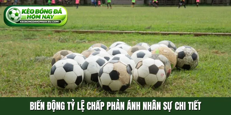 Biến động tỷ lệ chấp phản ánh nhân sự chi tiết