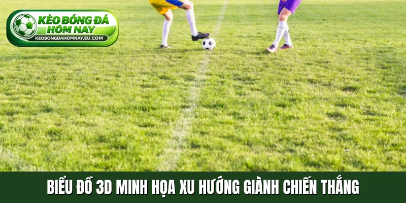 Biểu đồ 3D minh họa xu hướng giành chiến thắng