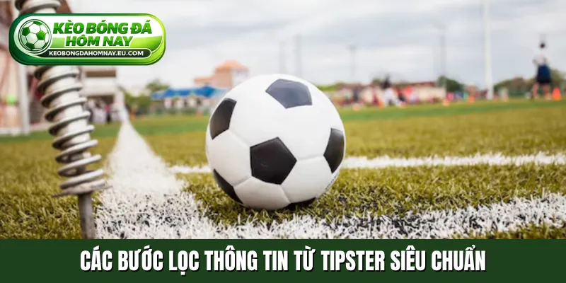Các bước lọc thông tin từ Tipster siêu chuẩn