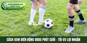 Cách xem biến động Odds phút cuối