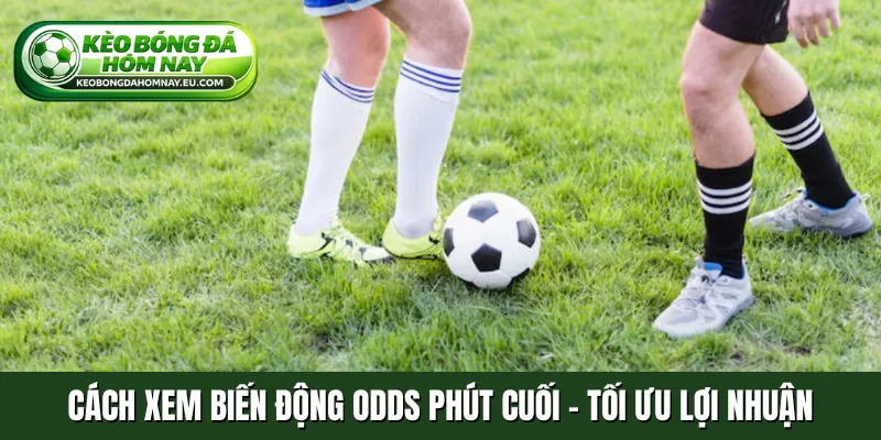 Cách xem biến động Odds phút cuối