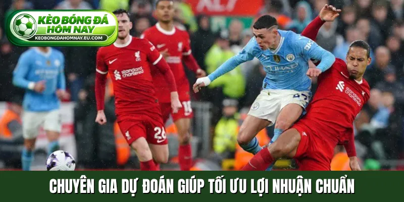 Chuyên gia dự đoán giúp tối ưu lợi nhuận chuẩn