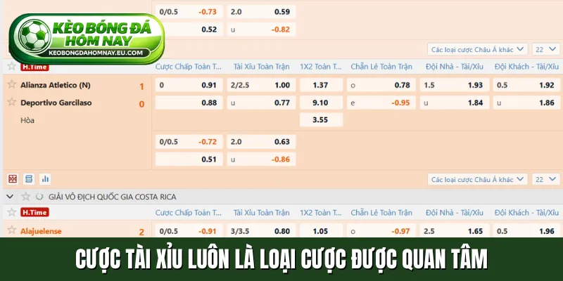 Cược tài xỉu luôn là loại cược được quan tâm