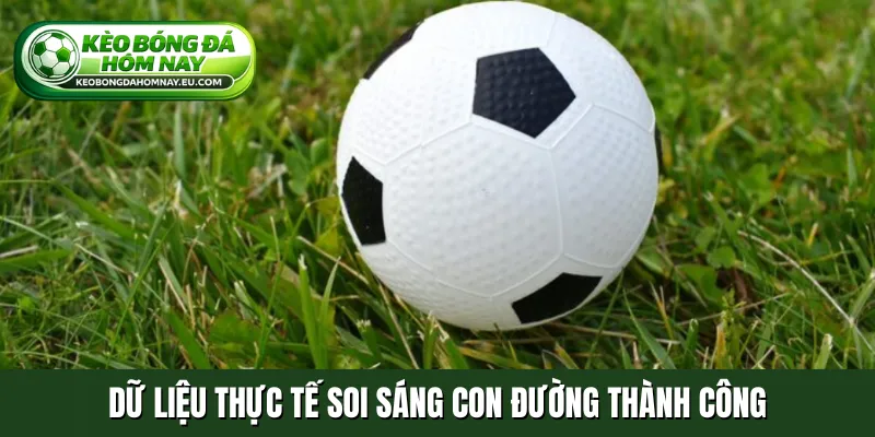 Dữ liệu thực tế soi sáng con đường thành công