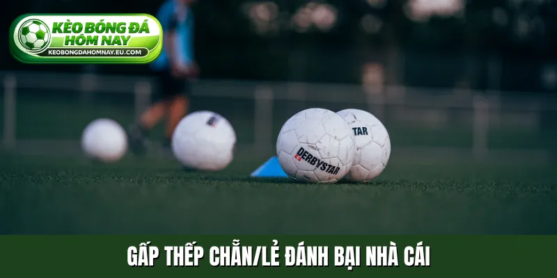 Gấp thếp chẵn/lẻ đánh bại nhà cái