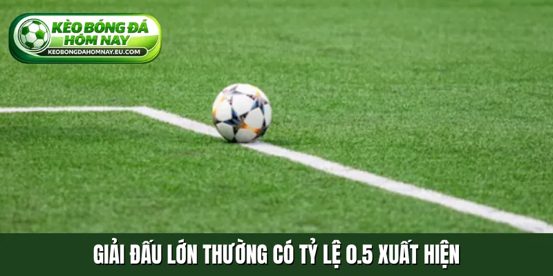 Giải đấu lớn thường có tỷ lệ 0.5 xuất hiện