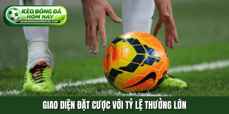 Giao diện đặt cược với tỷ lệ thưởng lớn