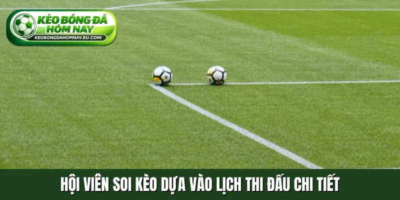 Hội viên soi kèo dựa vào lịch thi đấu chi tiết