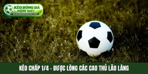 Kèo chấp 1-4