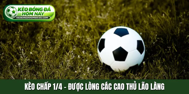 Kèo chấp 1-4