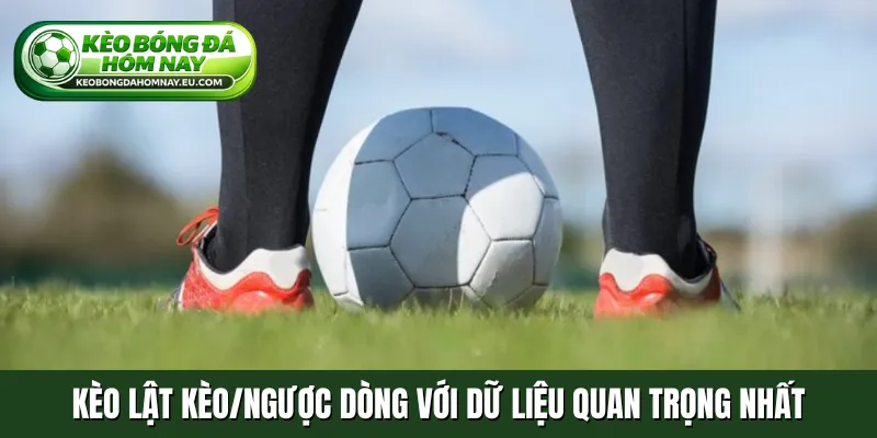 Kèo lật kèo/ngược dòng với dữ liệu quan trọng nhất