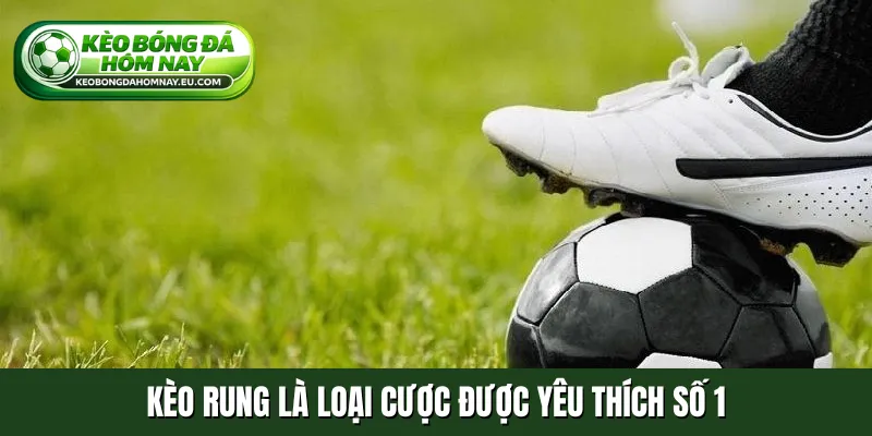 Kèo rung là loại cược được yêu thích số 1