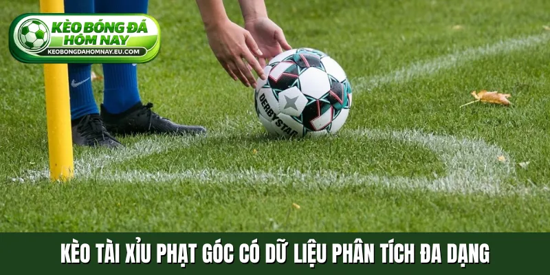 Kèo tài xỉu phạt góc có dữ liệu phân tích đa dạng