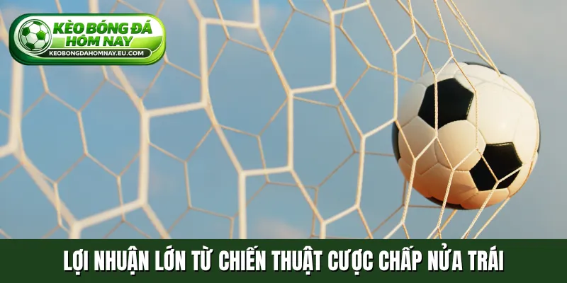 Lợi nhuận lớn từ chiến thuật cược chấp nửa trái