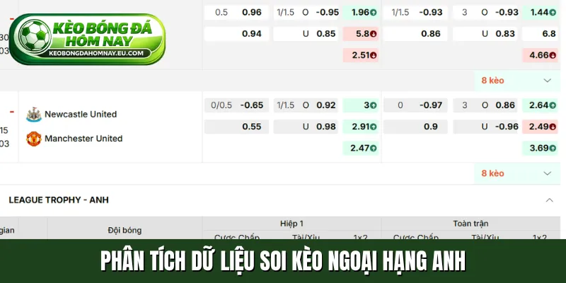 Phân tích kèo đấu để có lựa chọn hoàn hảo