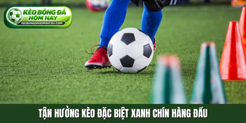 Tận hưởng kèo đặc biệt xanh chín hàng đầu