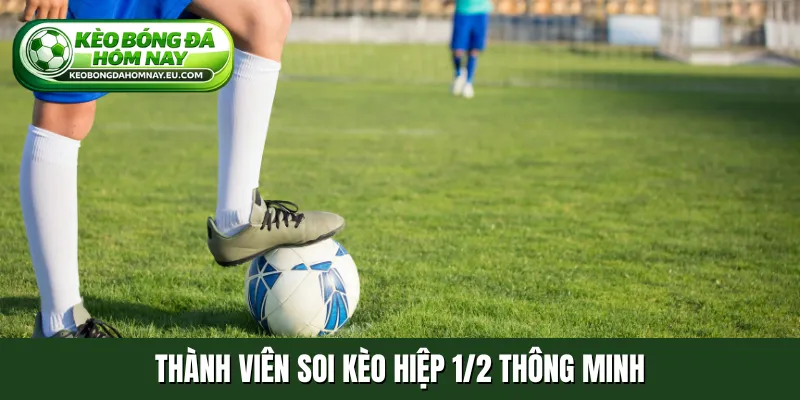 Thành viên soi kèo hiệp 1/2 thông minh