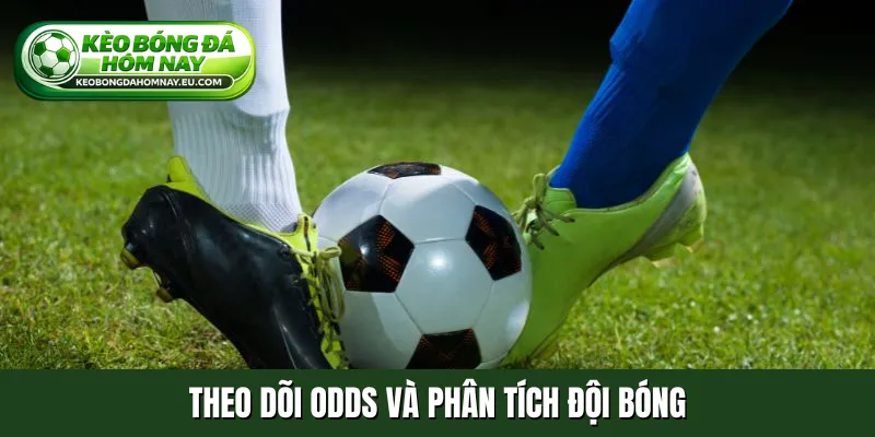 Theo dõi odds và phân tích đội bóng
