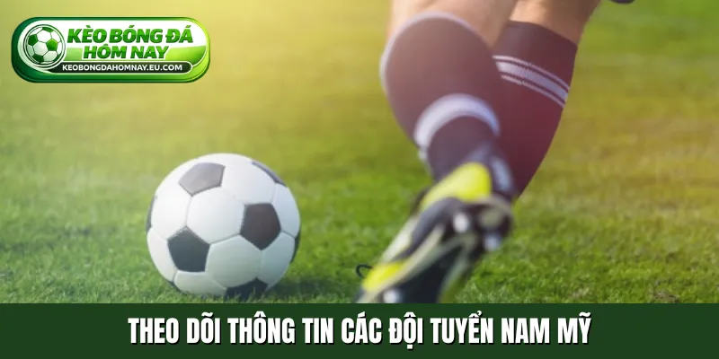 Theo dõi thông tin các đội tuyển Nam Mỹ