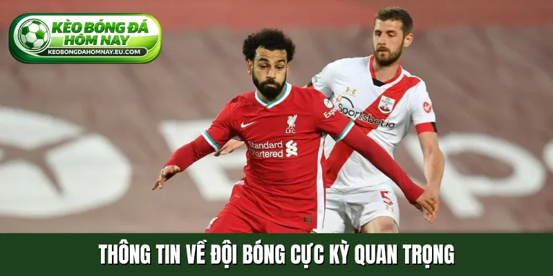 Thông tin về đội bóng cực kỳ quan trọng