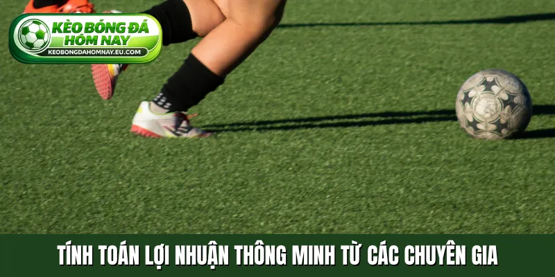 Tính toán lợi nhuận thông minh từ các chuyên gia