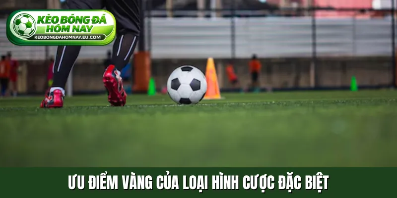 Ưu điểm vàng của loại hình cược đặc biệt