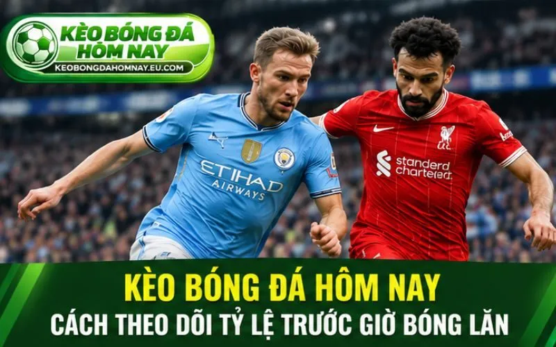 Kèo bóng đá hôm nay và cách theo dõi tỷ lệ trước giờ bóng lăn