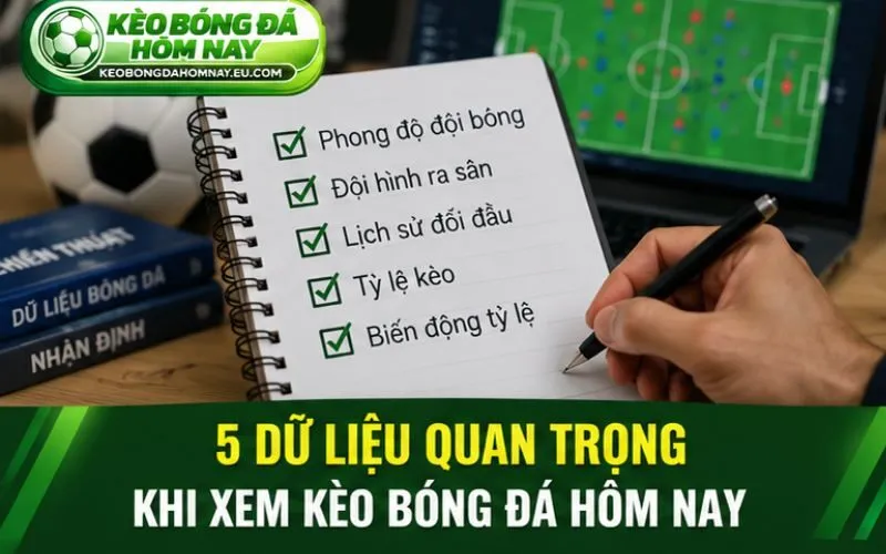 5 dữ liệu quan trọng khi xem kèo bóng đá