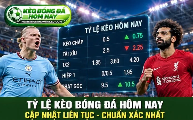 Tỷ Lệ Kèo Bóng Đá Hôm Nay – Cập Nhật Biến Động Trước Trận