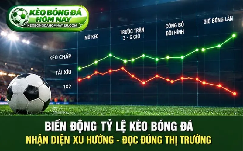 Biến Động Tỷ Lệ Kèo – Theo Dõi Từ Mở Kèo Đến Giờ Bóng Lăn